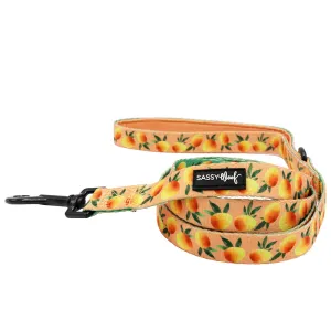 Dog Leash  - Mango Tango