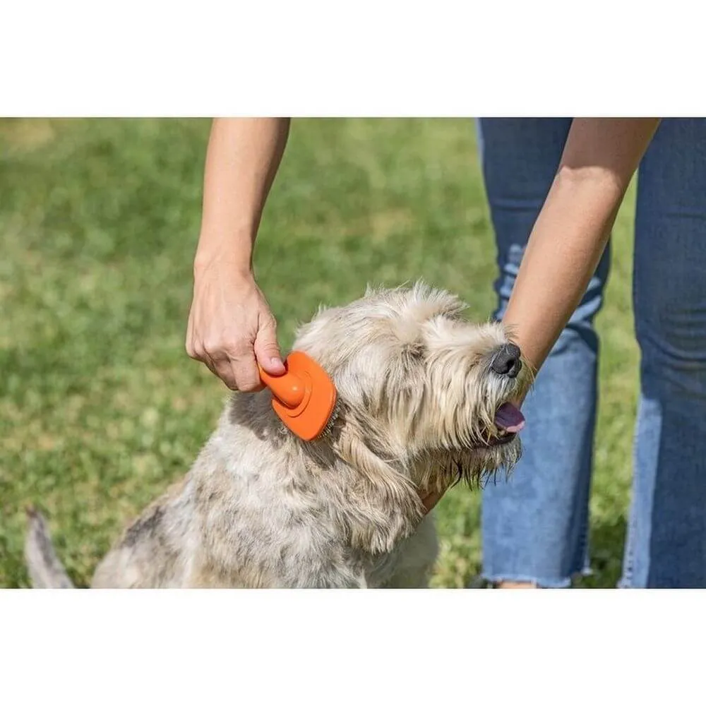 Vigar Pets Club Pet Hair Brush Orange